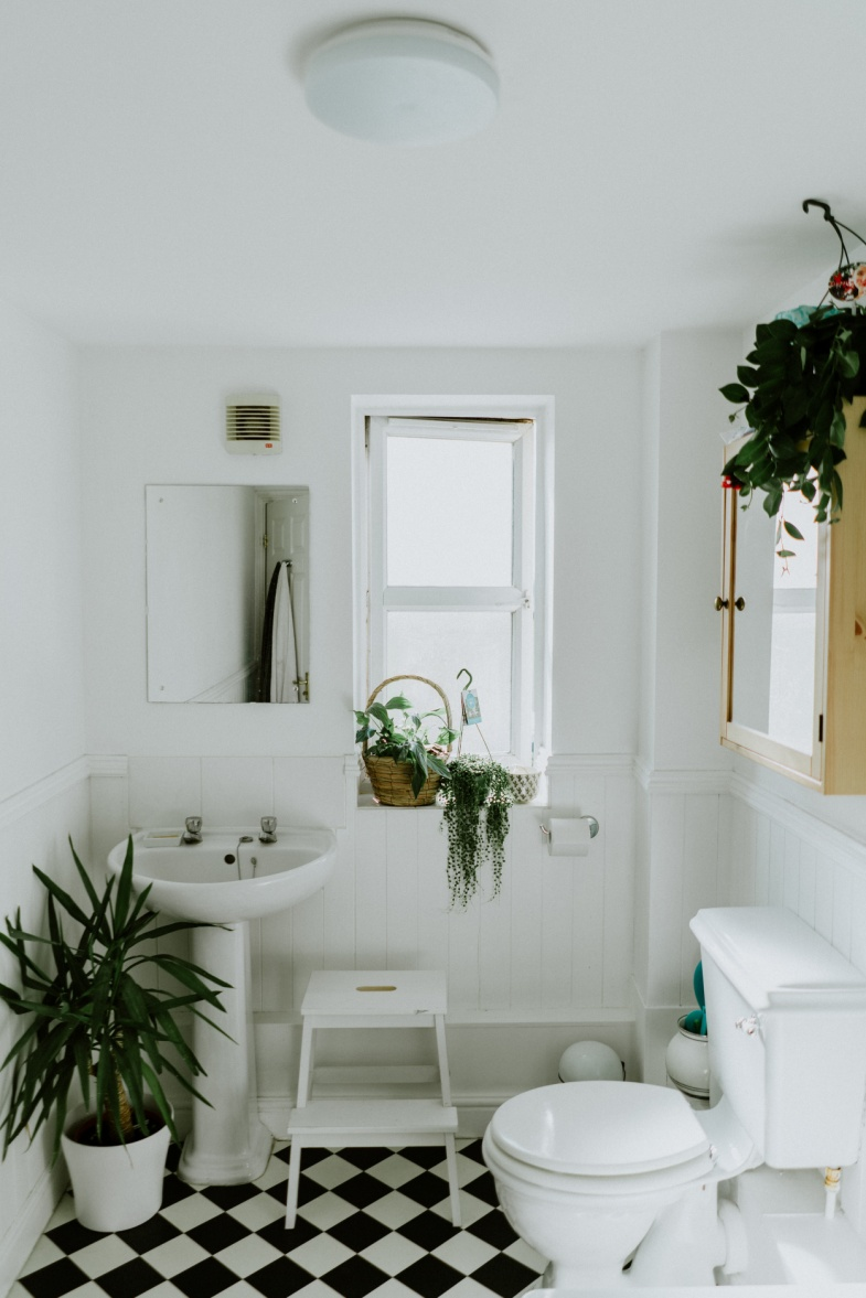 White bathroom interior with plants