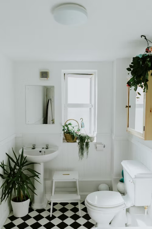 A bathroom decorated with plants on the windowsill